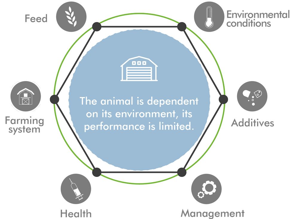 technical_performance_animal_care_english